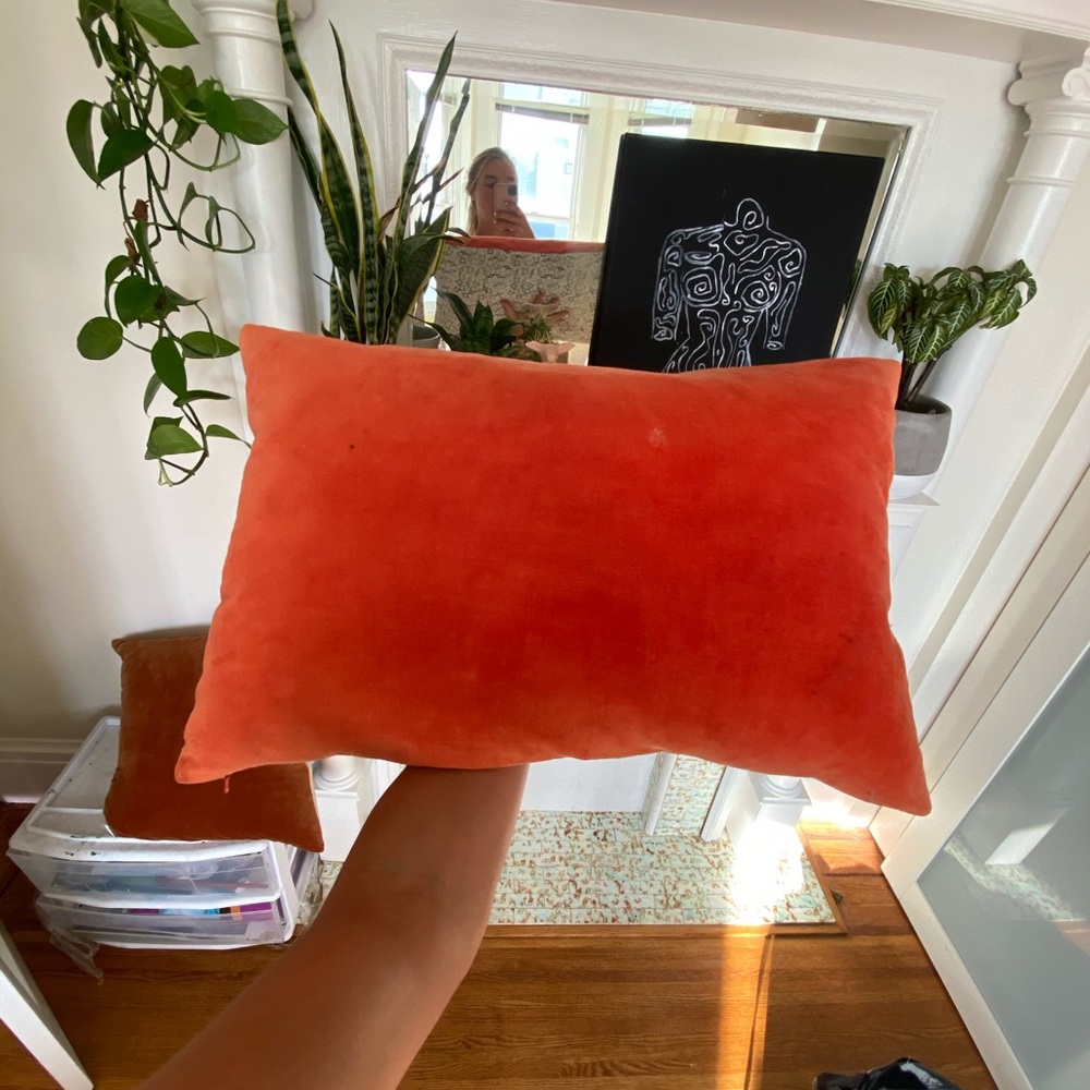 Orange Velvet Multicolored Throw Pillow CB2